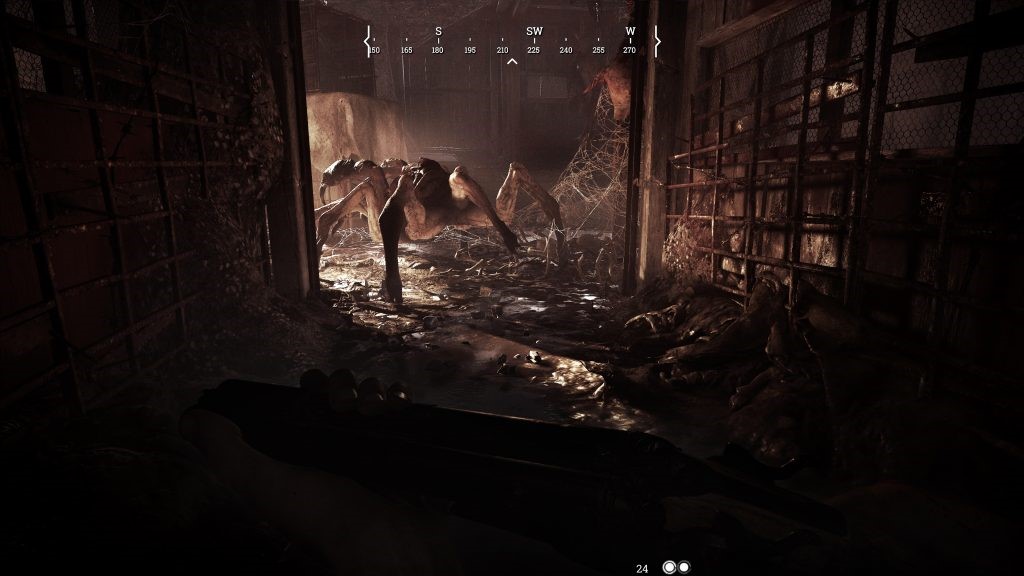 Hunt_Spider.jpg